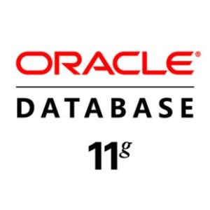 Oracle 数据库 Oracle 11G/12C 企业版  原厂  1Processor